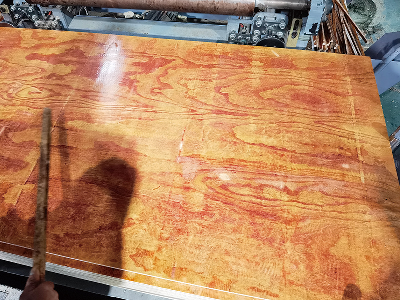 广西幼红板价值