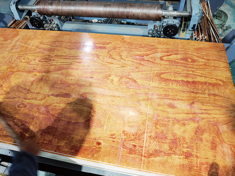 广西幼红板批发价值